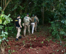 Operação Sinergia II termina com 12,4 toneladas de drogas apreendidas e 271 prisões