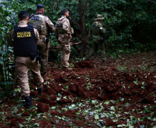 Operação Sinergia II termina com 12,4 toneladas de drogas apreendidas e 271 prisões