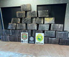  Ação policial integrada resulta na apreensão de 732 kg de maconha em Foz do Iguaçu