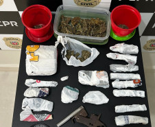 PCPR prende homem por tráfico de drogas e posse irregular de arma arma de fogo em Chopinzinho