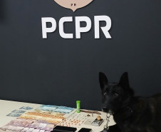 PCPR e PMPR prendem casal em flagrante por tráfico de drogas em Ortigueira