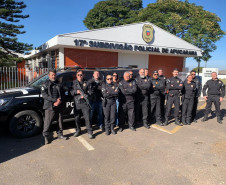 PCPR prende oito pessoas durante ação contra o tráfico de drogas em Apucarana