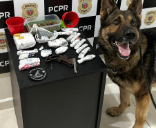PCPR prende homem por tráfico de drogas e posse irregular de arma arma de fogo em Chopinzinho