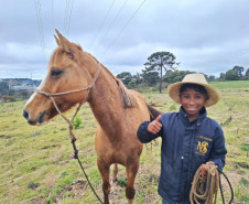 PCPR ajuda menino a encontrar sua égua em Palmas