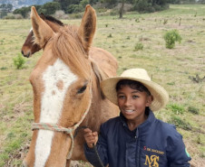 PCPR ajuda menino a encontrar sua égua em Palmas