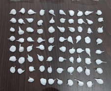PCPR prende em flagrante homem por tráfico de drogas e apreende drogas em São José dos Pinhais