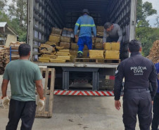 PCPR incinera mais de quatro toneladas de drogas em Campina Grande do Sul