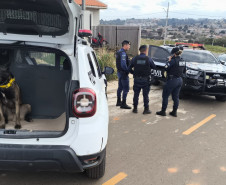 PCPR e GM prendem homem em flagrante por tráfico de drogas e porte de arma de fogo em Ponta Grossa