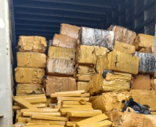 PCPR incinera mais de quatro toneladas de drogas em Campina Grande do Sul