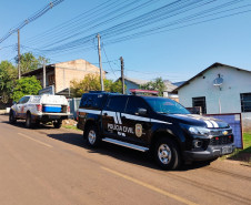 PCPR resgata quatro cães vítimas de maus-tratos em Francisco Beltrão