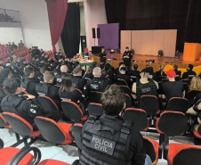 Com o apoio de outras forças, PCPR prende 14 pessoas durante operação deflagrada em Francisco Beltrão 