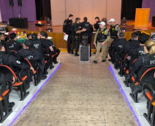 Com o apoio de outras forças, PCPR prende 14 pessoas durante operação deflagrada em Francisco Beltrão 