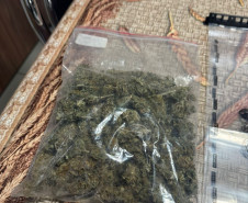 PCPR prende três homens durante operação contra o tráfico de drogas em Guarapuava 