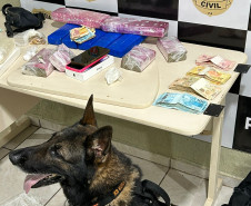 PCPR apreende mais de 7 quilos de drogas e uma arma de fogo durante ação em Nova Esperança