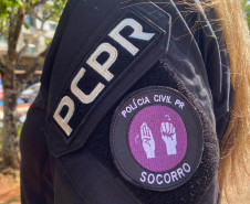 PCPR prende 1,3 mil pessoas durante operação nacional de combate à violência contra a mulher