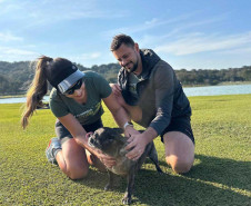 PCPR na Comunidade promove evento sobre combate aos crimes ambientais no Parque Barigui, em Curitiba