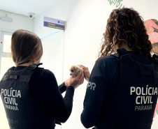 PCPR prende homem em flagrante por perseguição e maus-tratos a animais em Araucária