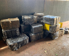 PCPR apreende aproximadamente 940 kg de maconha em diferentes ações em Foz do Iguaçu
