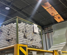 PCPR elimina cerca de 5 toneladas de documentos arquivados em delegacia da Capital e Região Metropolitana 