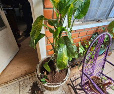 PCPR e PMPR recuperam objetos furtados em santuário de Guarapuava