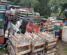 PCPR destroi mais de 300 mil garrafas de bebidas durante ação contra comércio irregular em Curitiba e RMC