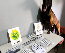 PCPR e PMPR cumprem mandado de busca e apreendem drogas em Cianorte