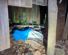 PCPR prende homem em flagrante por tráfico de drogas em Francisco Beltrão 