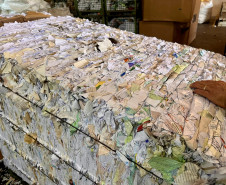 PCPR elimina cerca de 5 toneladas de documentos arquivados em delegacia da Capital e Região Metropolitana 