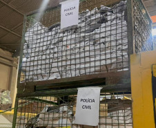 PCPR elimina cerca de 5 toneladas de documentos arquivados em delegacia da Capital e Região Metropolitana 