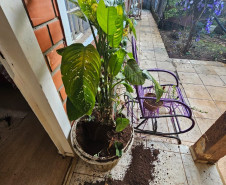 PCPR e PMPR recuperam objetos furtados em santuário de Guarapuava