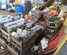 PCPR destroi mais de 300 mil garrafas de bebidas durante ação contra comércio irregular em Curitiba e RMC