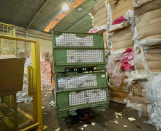 PCPR elimina cerca de 5 toneladas de documentos arquivados em delegacia da Capital e Região Metropolitana 