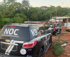 PCPR e PMPR prendem homem em flagrante por tráfico de drogas em Iretama