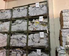 PCPR elimina cerca de 5 toneladas de documentos arquivados em delegacia da Capital e Região Metropolitana 