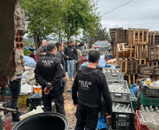 PCPR destroi mais de 300 mil garrafas de bebidas durante ação contra comércio irregular em Curitiba e RMC