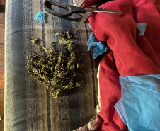 PCPR prende homem em flagrante por tráfico de drogas em Francisco Beltrão 