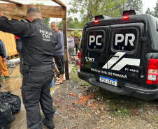 PCPR entrega de 21 cestas básicas, roupas, brinquedos e doces para famílias de Campo Largo