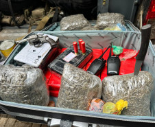 Polícias do Paraná desarticulam grupo criminoso e realizam 43 prisões em nove cidades