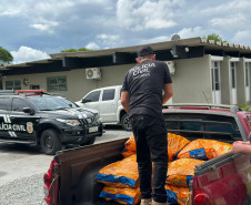 PCPR acompanha entrega de rações arrecadadas na XVIII Corrida da Instituição