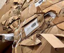 PCPR elimina cerca de 5 toneladas de documentos arquivados em delegacia da Capital e Região Metropolitana 