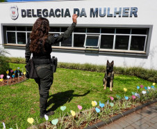 PCPR realiza ação em comemoração ao Dia das Crianças em Pato Branco