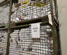PCPR elimina cerca de 5 toneladas de documentos arquivados em delegacia da Capital e Região Metropolitana 