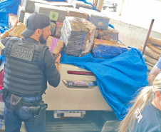 PCPR incinera aproximadamente duas toneladas de drogas em Arapongas
