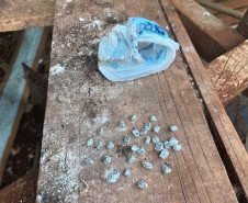 PCPR e PMPR prendem homem em flagrante por tráfico de drogas em Iretama