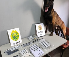 PCPR e PMPR cumprem mandado de busca e apreendem drogas em Cianorte