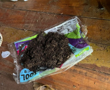 PCPR prende homem em flagrante por tráfico de drogas em Francisco Beltrão 