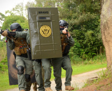 Negociações, resgates e operações de alto risco: grupo Tigre completa 35 anos