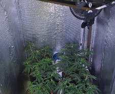 Polícias do Paraná desarticulam grupo criminoso e realizam 43 prisões em nove cidades