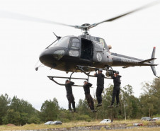 Negociações, resgates e operações de alto risco: grupo Tigre completa 35 anos