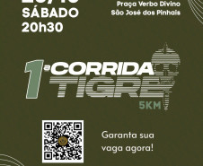 Celebrando 35 anos de atuação, Grupo Tigre promove sua 1ª Corrida Noturna